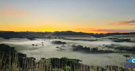 Primeira geada do ano é registrada na Serra Catarinense