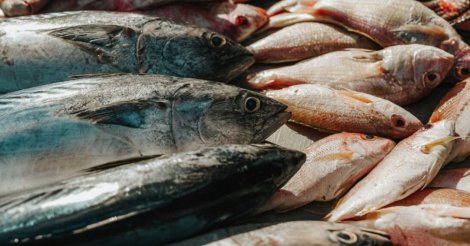 Procon de Florianópolis divulga pesquisa e mostra onde economizar na Semana Santa