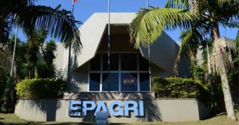 Programa de demissão voluntária da Epagri leva ao desligamento de 673 funcionários em SC
