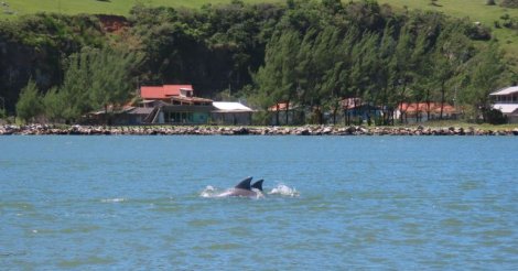 Qualidade da água no Complexo Lagunar entra em monitoramento contínuo