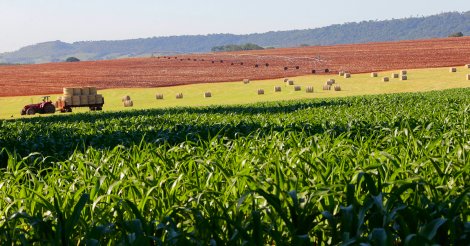 Retorno do La Niña pode afetar clima e agricultura em SC
