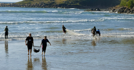 Safra da Tainha 2026 registra mais de 150 toneladas de pescado capturados em Imbituba