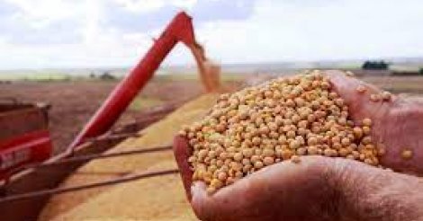 Santa Catarina e Japão firmam acordo para exportação de grãos