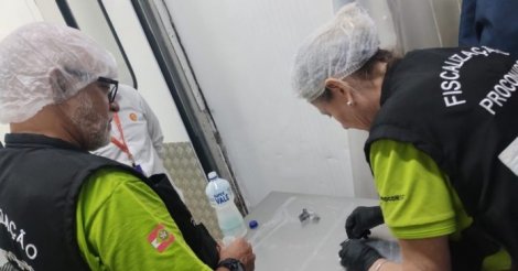 Santa Catarina tem 98% de conformidade no mercado de pescados