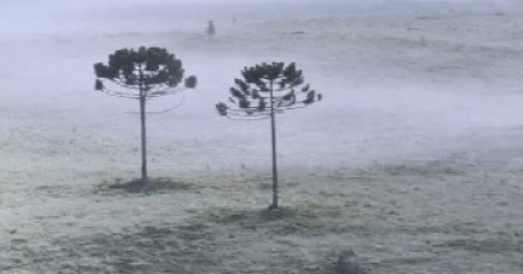 SC tem amanhecer com temperatura abaixo de 3°C nesta terça-feira