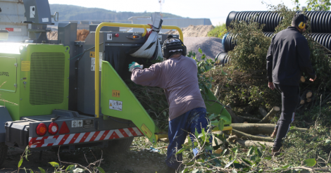 SEGRES dá sequência ao trabalho de trituração de resíduos verdes no município