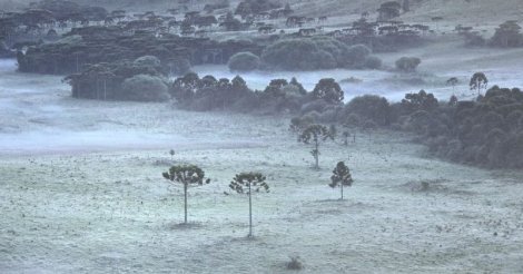 Serra catarinense registra geada e temperaturas de 3°C em pleno verão