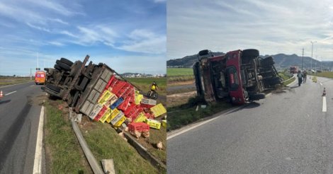 Tubarão / Caminhão carregado com frangos tomba na Rodovia Ivane Fretta