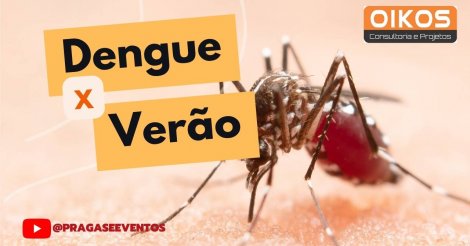 Verão chegando, Denque . moscas também: dicas para proteger sua casa e garantir a tranquilidade