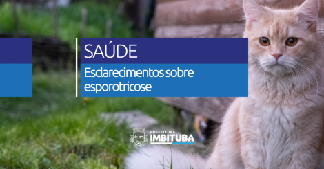 Vigilância Epidemiológica esclarece boatos sobre esporotricose e reforça cuidados com animais