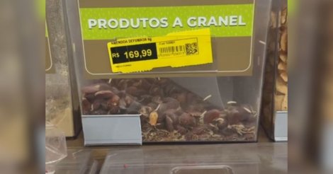 Vigilância Sanitária interdita padaria de supermercado em Imbituba após fiscalização