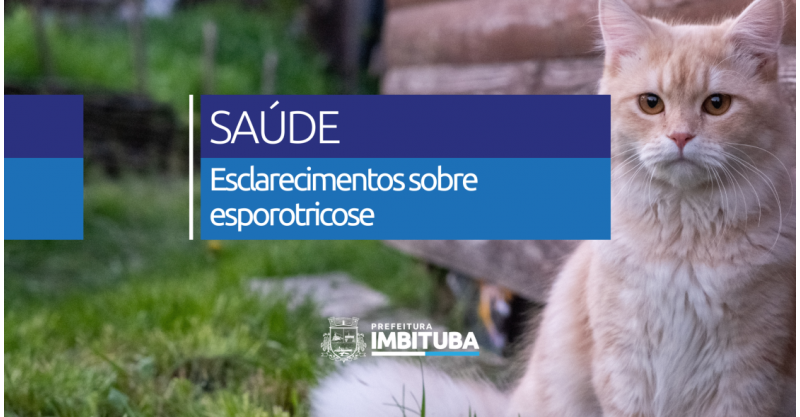 Vigilância Epidemiológica esclarece boatos sobre esporotricose e reforça cuidados com animais